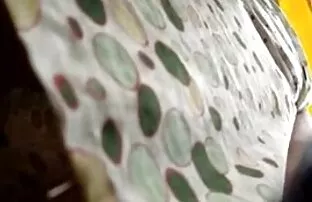 Uma universitária Boazona sem rosto é anal brasileiro gratis fodida de trás para a frente depois do exame no dormitório.