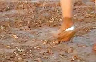 uma vídeo pornô fazendo sexo anal Asiática sedutora não presta